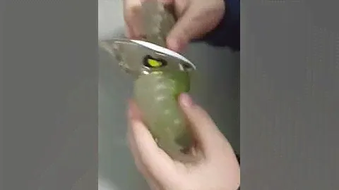 Распаковка Goojitzu Dino X-RAY