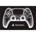 Playstation X-Ray Pad Плакат